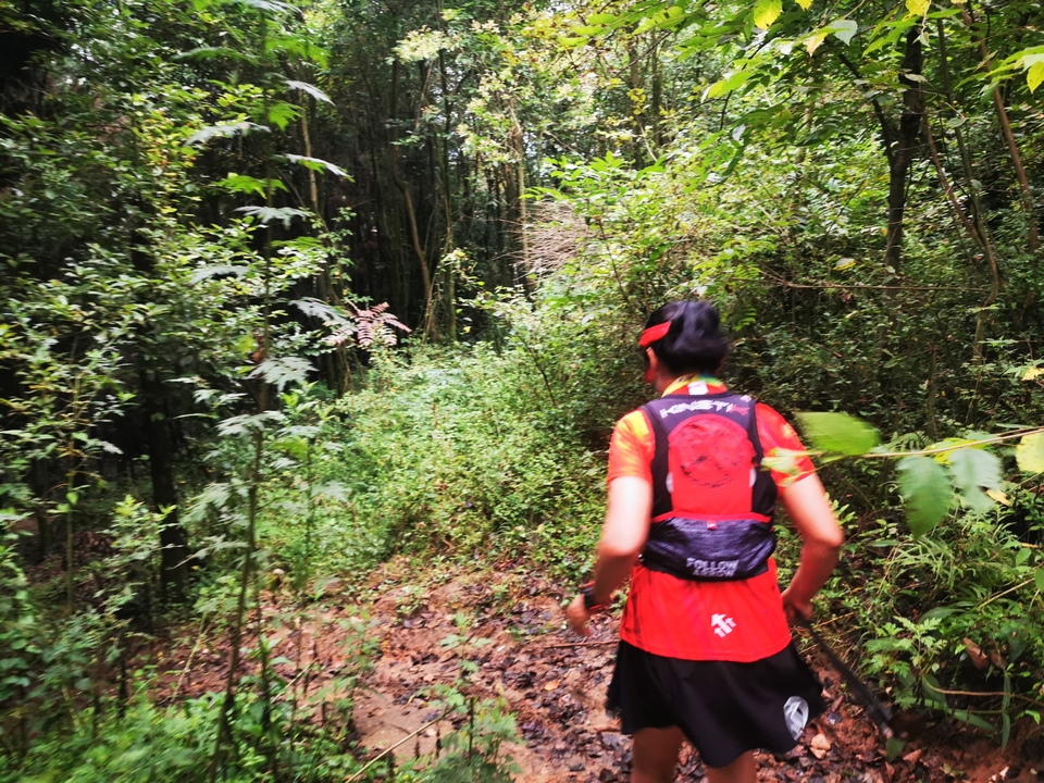 TO1hMzJnPs3TphMoMZseqLBTQdiKgcXIuLdJf9eSjju1BUTEygQNGCAN5ibC4Mot