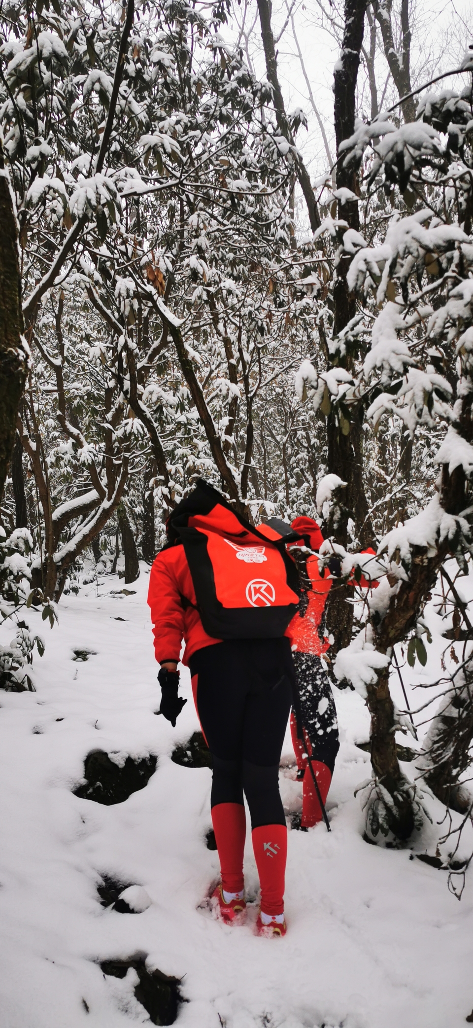 p9s46OByRDuU6maAWcNomJEi6lm3DoKexKBdUSE2-XsvxfUv94i7ZGfSP0M5GKtv