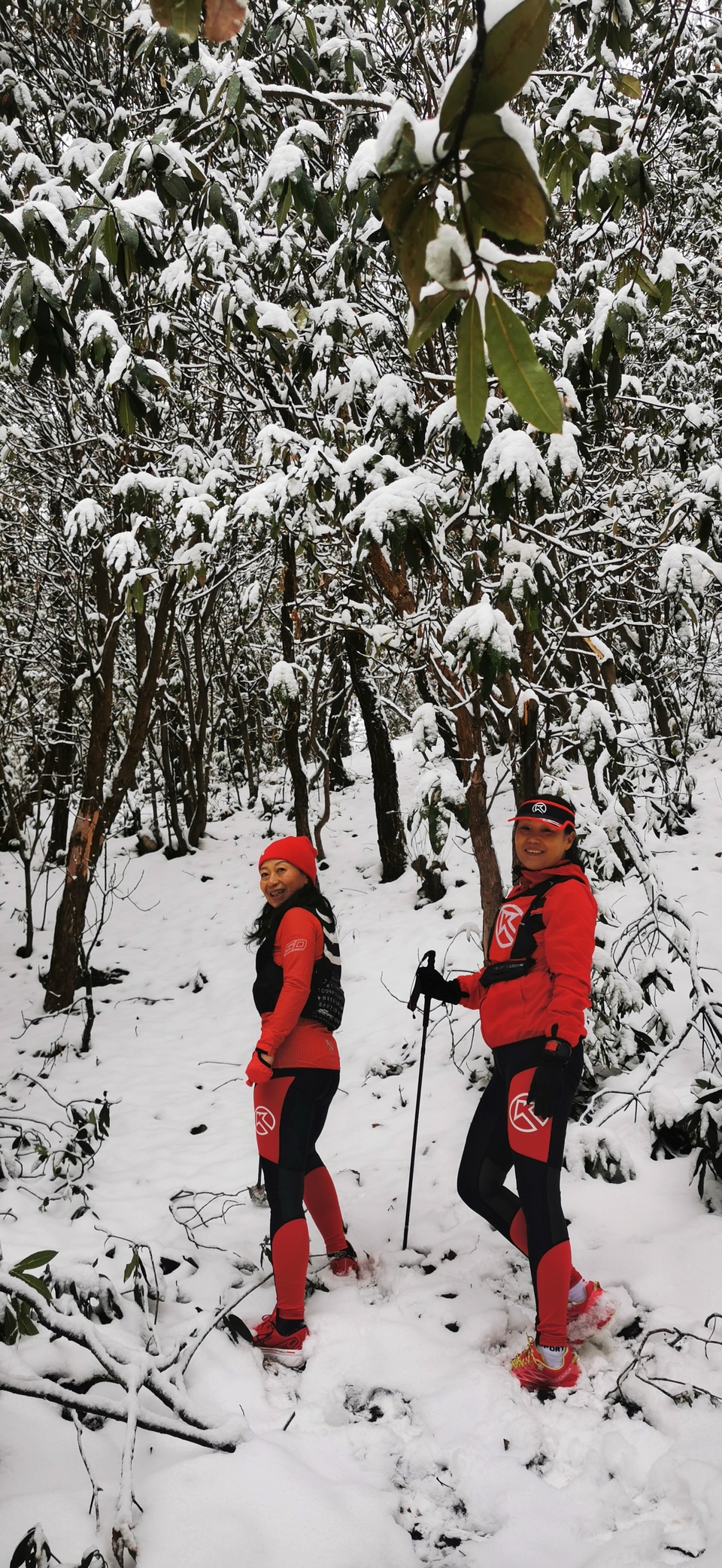 p9s46OByRDuU6maAWcNomIZ2rhI8wi83h3iYzs4Fv3HkklCGTOzAXcJVpNtadook