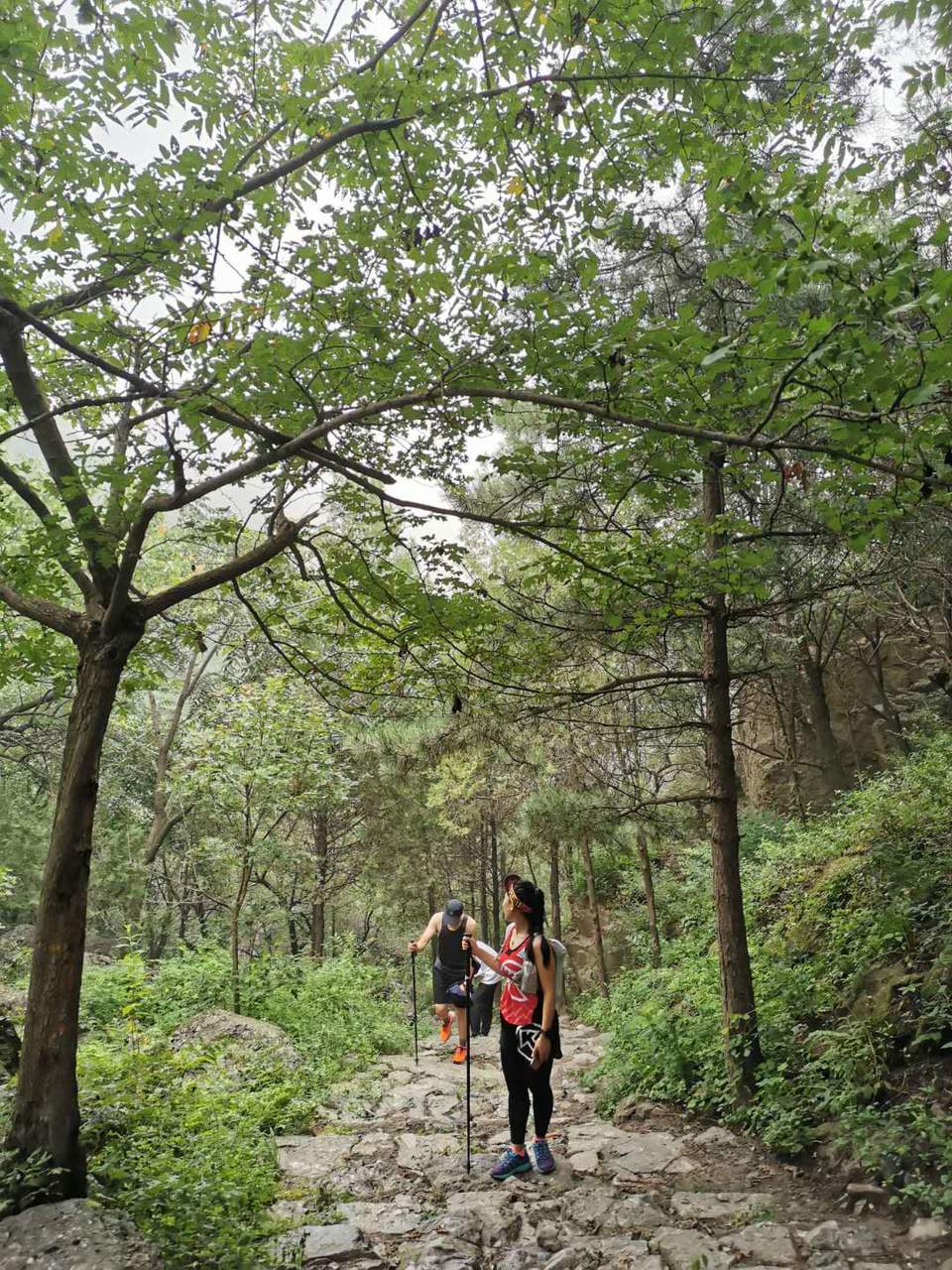 XRfpWRI8dETG7frlXu1JO_9stKZWU5AvaoHzx9WiV5l2yzac_EFROjN6kW8sr867