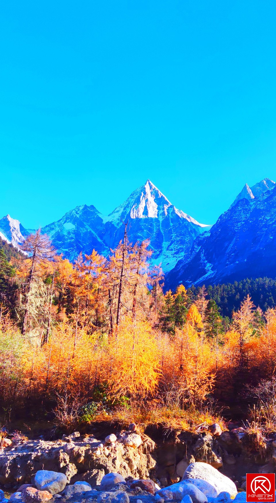 snWhrpKb8nc4sGDI8RPEe0GFuIqUUCTNh8AhvfciUBXOAt7los9GW8vMi3iQ0gyT