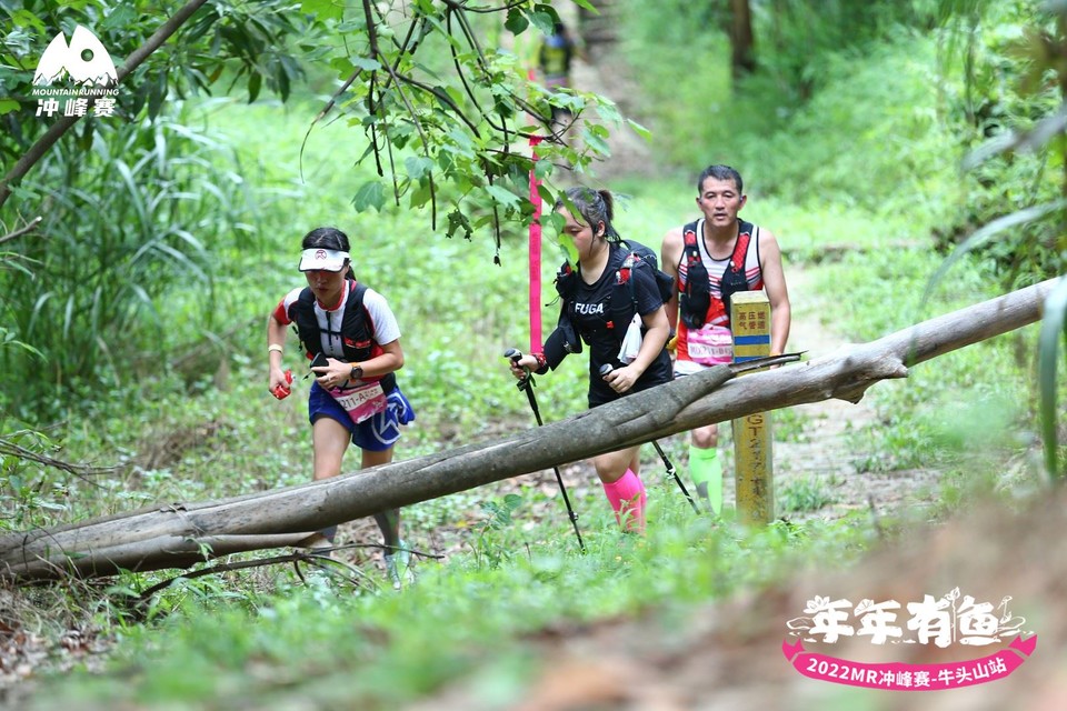 HkNJIQACQDC3y3Lu-DCGlajAHlVbvA8VFNsrC1ApdpkqAg3rV6gs50LUgKT4RM6e