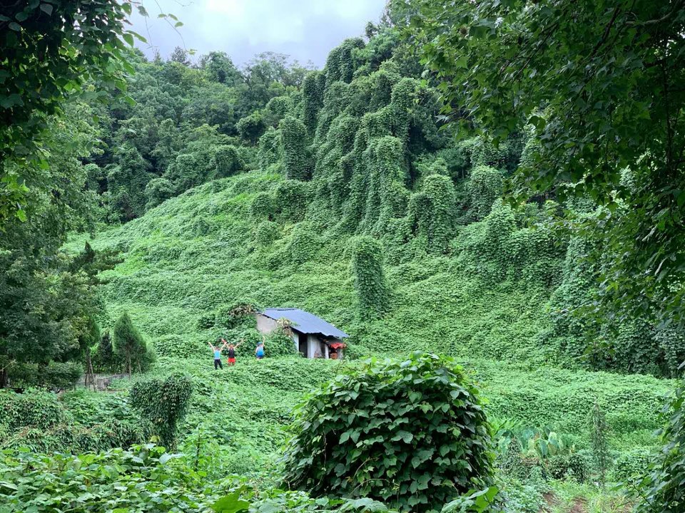 3V1OZ-RWwTXDXBZ81drlKCb8KGbZUlD9xEhcurKrv_Fg9nE22jQSrQoDrcgdPqfO