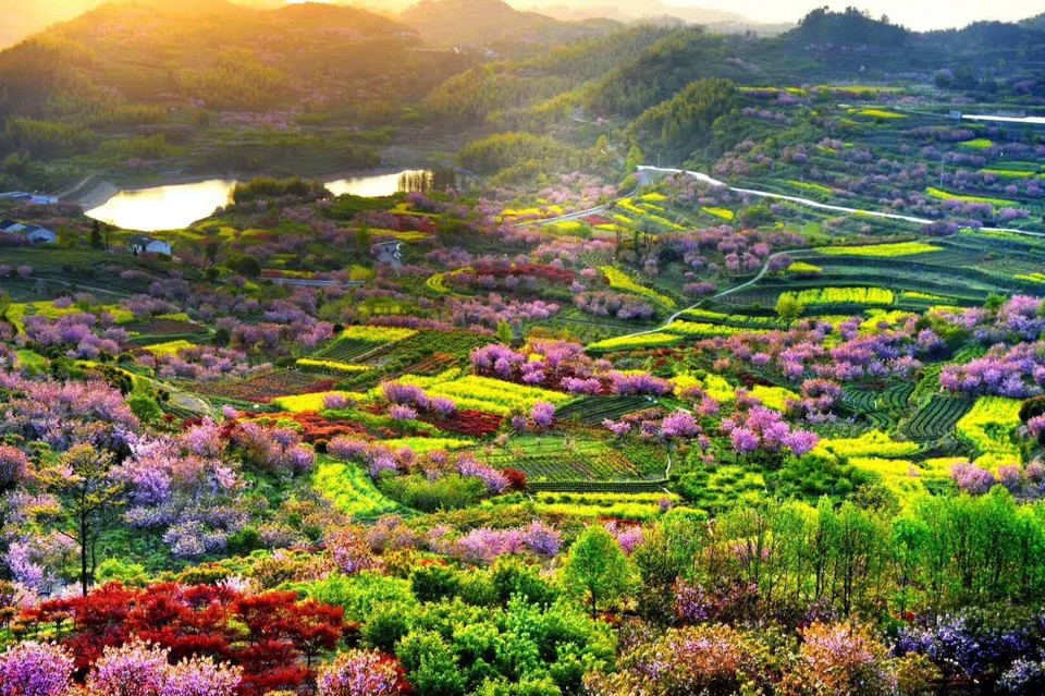 L-UC1K_eip88Ctn4FtgYJjrVcJddfwrSfl3ZbMdYcmEJe1_7BatXPhXduisn2mL-