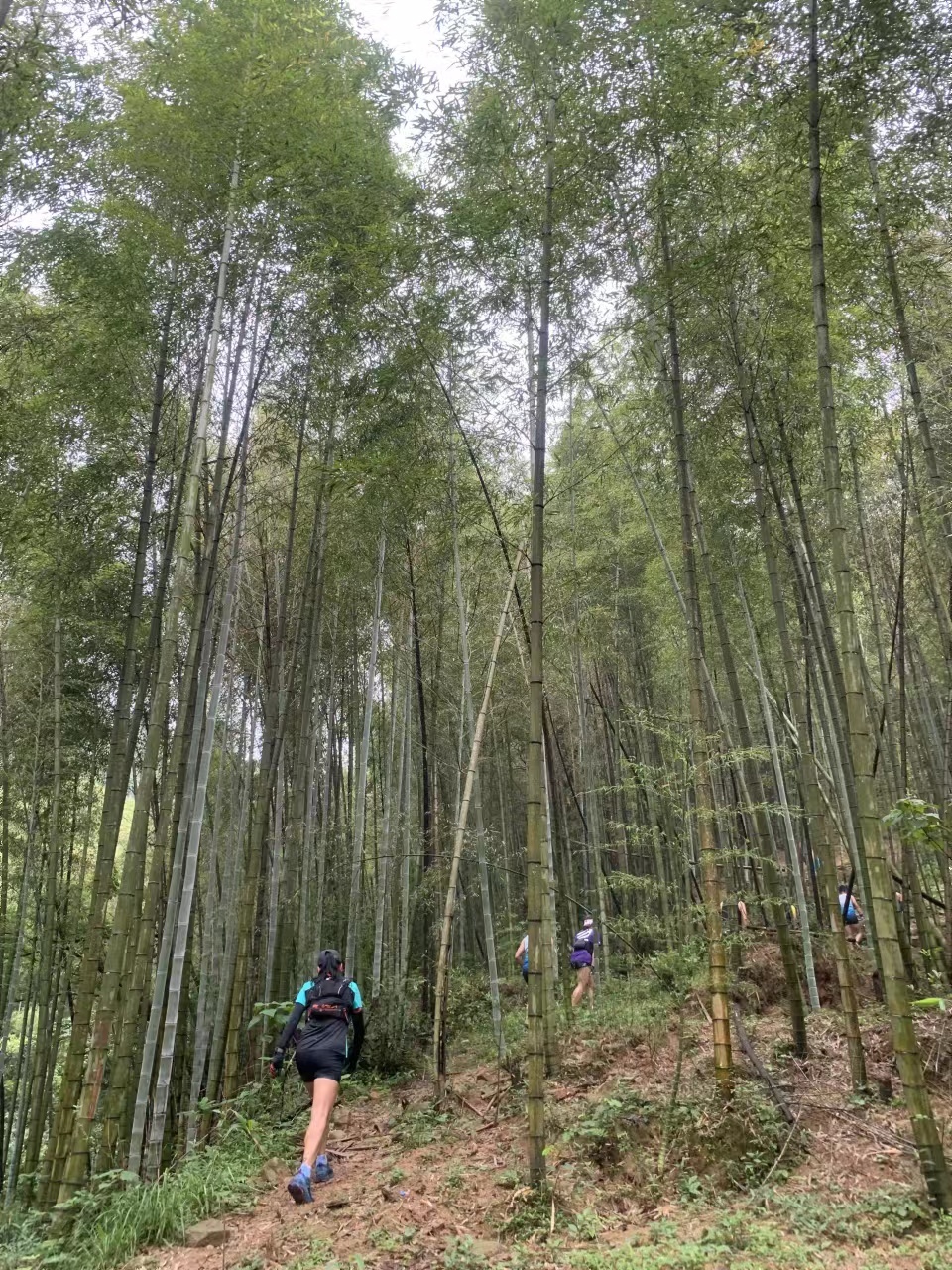 vxXIV0BFtO9MtH7MdoiG4cRX9d9m0rxgAVMrd31Lar5b63Nui-l15EWrAvpC4jYR