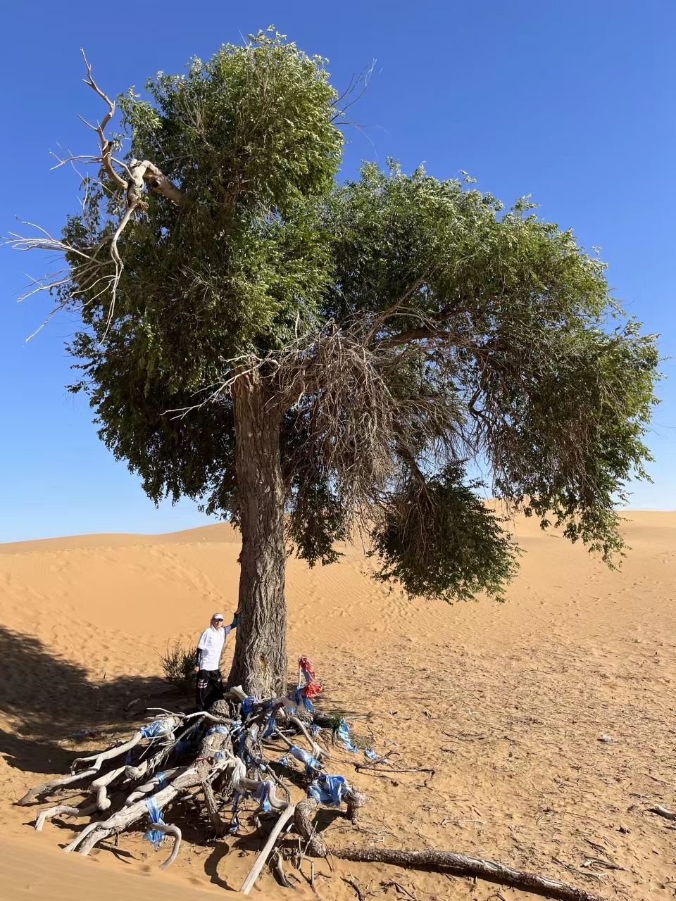 qPRJChzcKGA4QHLvp3yo8RY4aDsI0B4tpPdX3ctPltnef81fXNzqS5QI9KajGhox