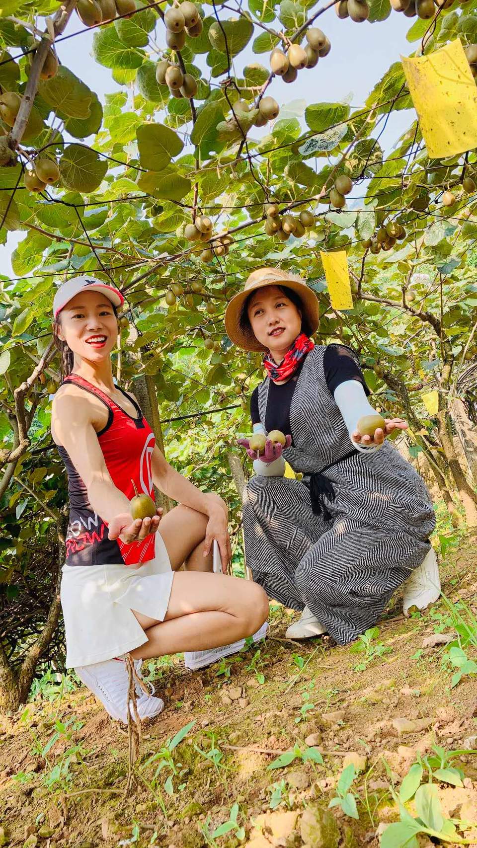 pfjr5wb6Ha1steA20KC1iziI9uGp7oNDLBFpRDmNZJ0rX94a5980JwhKjYsEgQrj