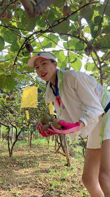 2qXfRK3t1eqOu4tBs4ox9qvcVJ3_Ox1k9acJI4JP1thruu-1uAqaUADBqop3tfe5