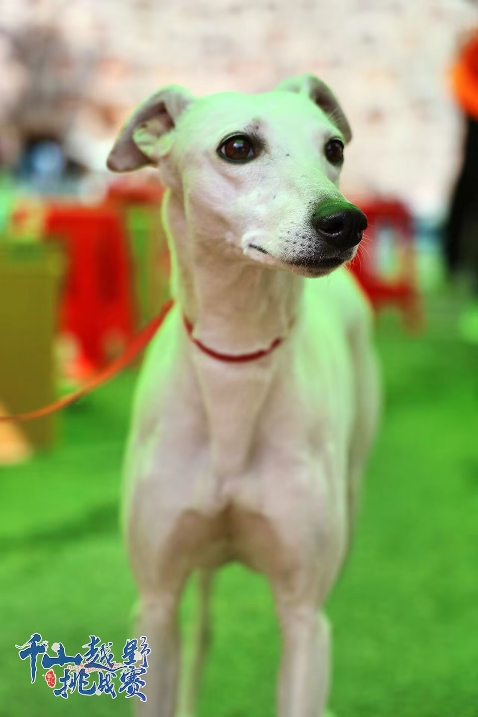 gPHvTQtDzTClsvbN532la_TVUi-iLsanrWcPXnsWHTs347EVyrUz0y-KQ3boBYcl