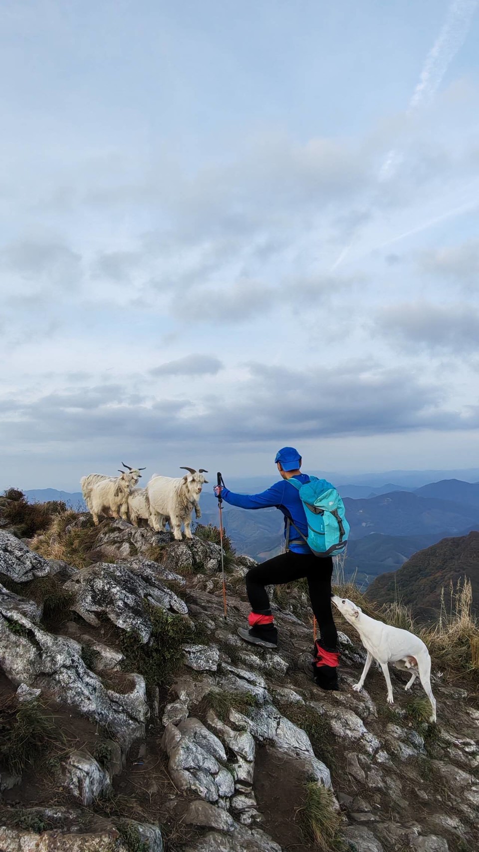 hUJGSBDTpQq0KIo4g8lbrU5roI7yRN0HTrmKGnYx6bJ2teOuxUAcry01Z7NquCCx