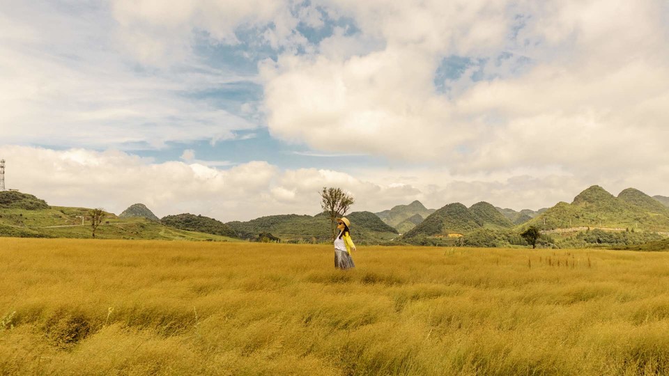 qo1JTEEXuBhKLyI3ejX6PGlzR3rWoSqgVl0O9D_cdPTqeBLqfAHqzalSh0hvRdr5