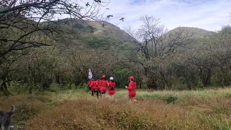 D3eyFienWlpUfzDw3LYbuSusk4CUGmGE_KMm0rgGxnq1hncRvMSTeS2OgJ6oGOSH