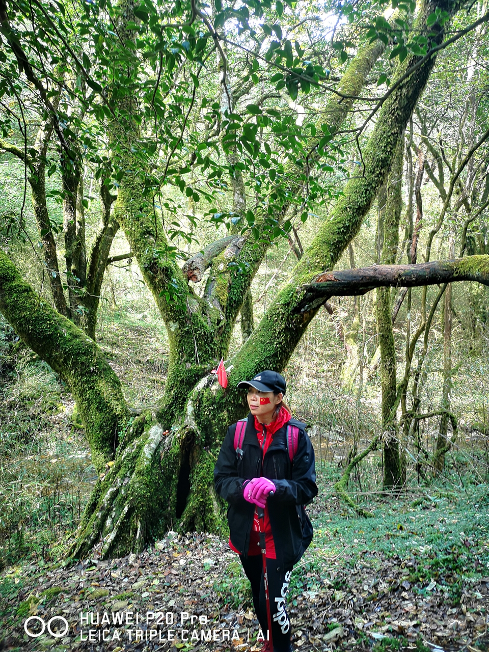 D3eyFienWlpUfzDw3LYbuV6h_352NMFdXoqTQ2RtxCO4jDGX0TlaaNdq9eOQkNX2