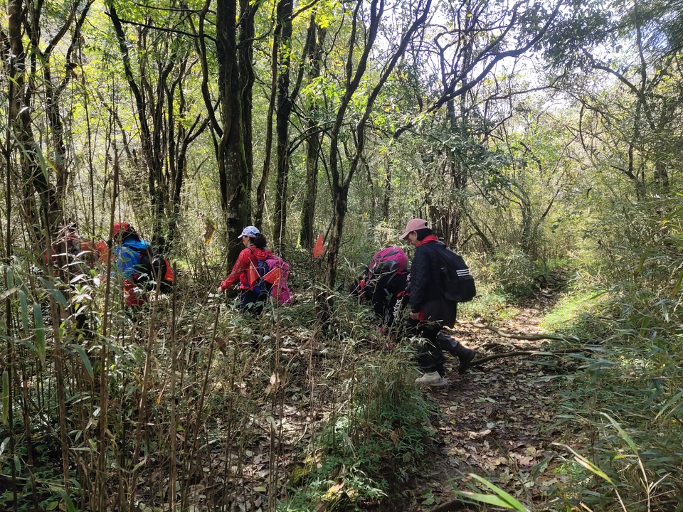 D3eyFienWlpUfzDw3LYbuf6JqsbDpwOkj6Lk6UpXS1mh4YwUN6Plv5_hRBzeSzaG