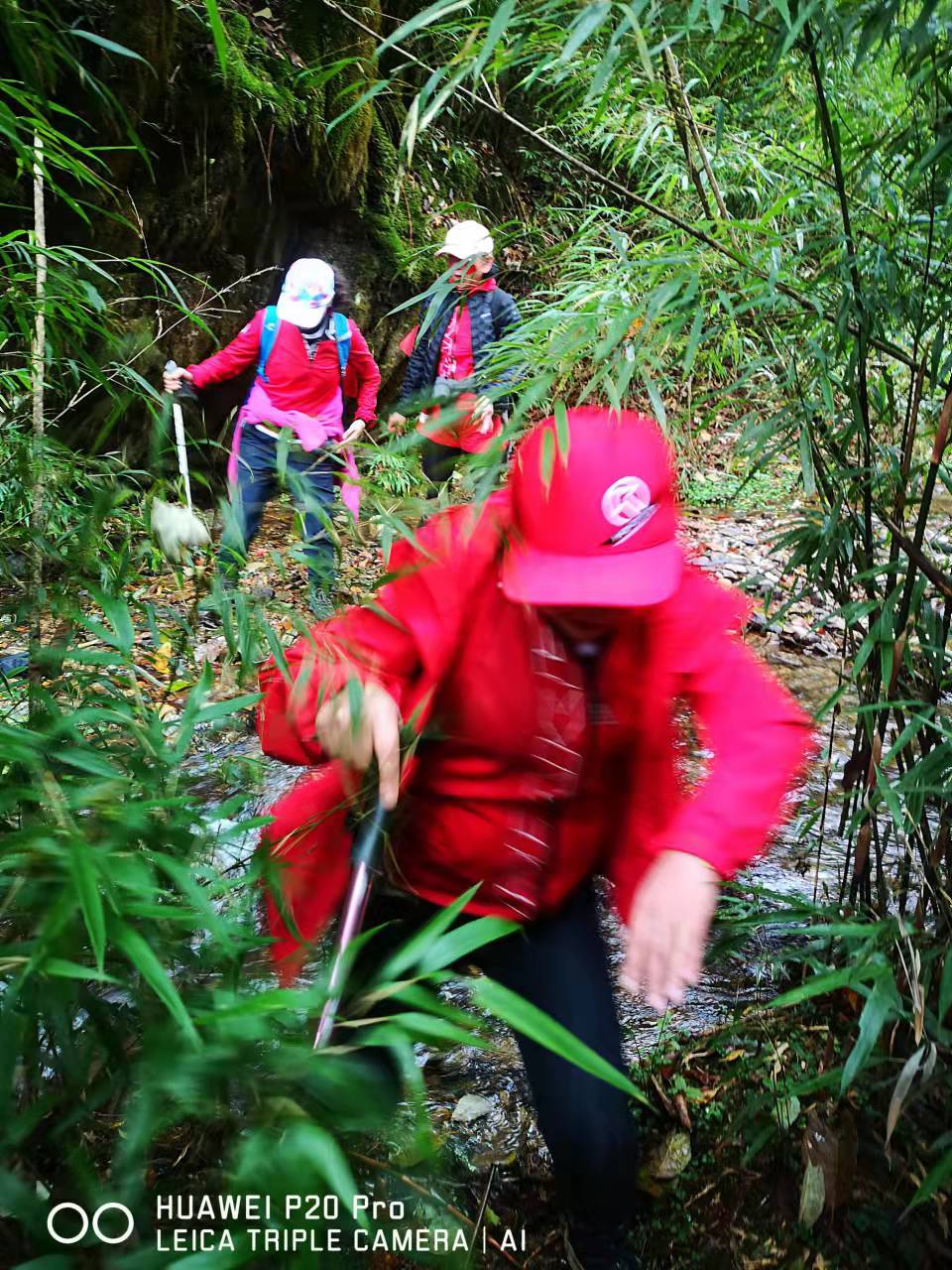 2TklrvS_awxWNHZaDIcViTROL6f6j3k_JZNDo2Gt1j3tMGa2RLuLZLmox590MxFR