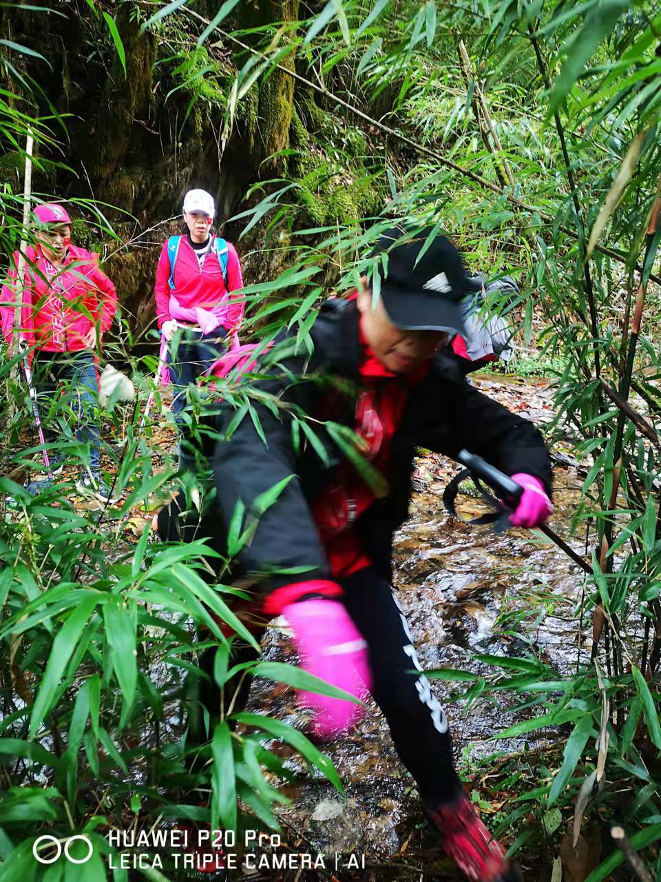 2TklrvS_awxWNHZaDIcViZGmLjjdDrpOEa1gbEGYNldj57--K39ZL7jEMVEJ-rbw