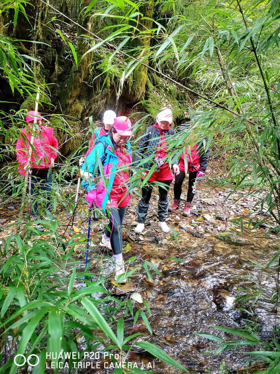 2TklrvS_awxWNHZaDIcViWP56bz9JeO768wC1m8dDJtPPfMcx4Tl9bDt8Fd4xRH0