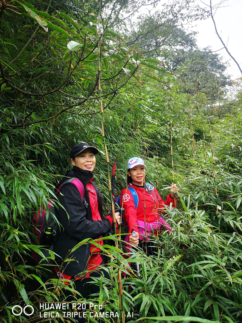 w26uQBf11gLCREqMOxB8kVpKCgYgT4-Ajs5k2hRPIsvnsaRMfIiP516fl7n-F-mW