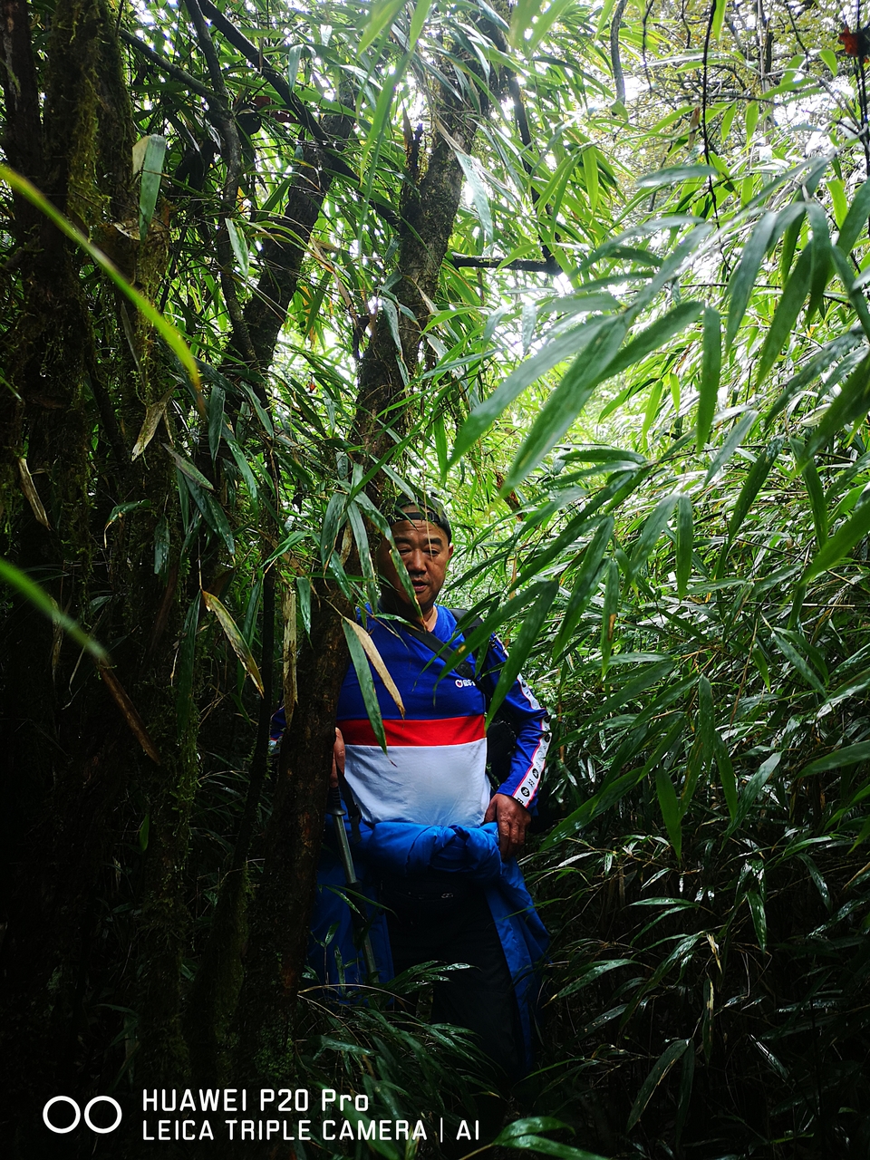 w26uQBf11gLCREqMOxB8kZ--fFSF9XuRW3ZNMo-lYR3se0EO47gDz6v34OrjRvZx