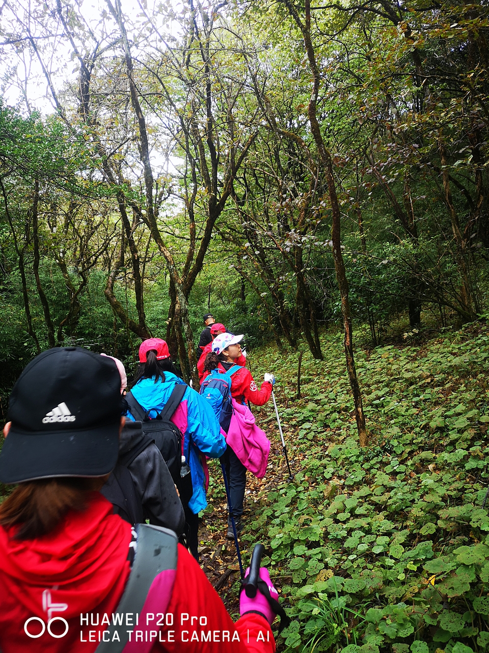 w26uQBf11gLCREqMOxB8kVQ4Qnh9skBt-ueKQYYtHT3L_8-jDTkfuiB9GE2MUUUO