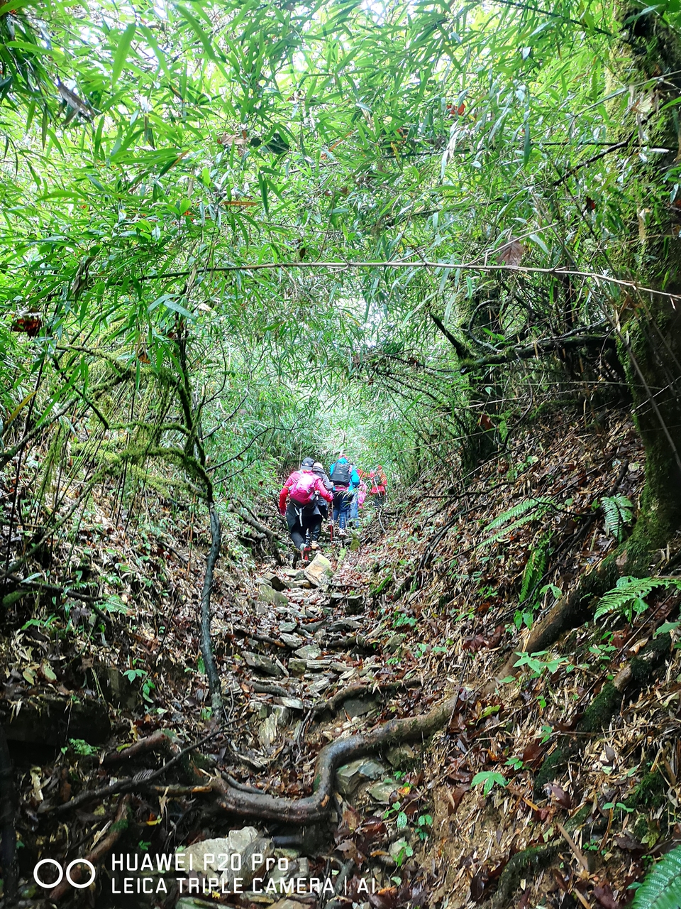 w26uQBf11gLCREqMOxB8kUTWHihcf5lE1i1ok5KPRYBFIbPhaoyiFlVvyRXCibd5