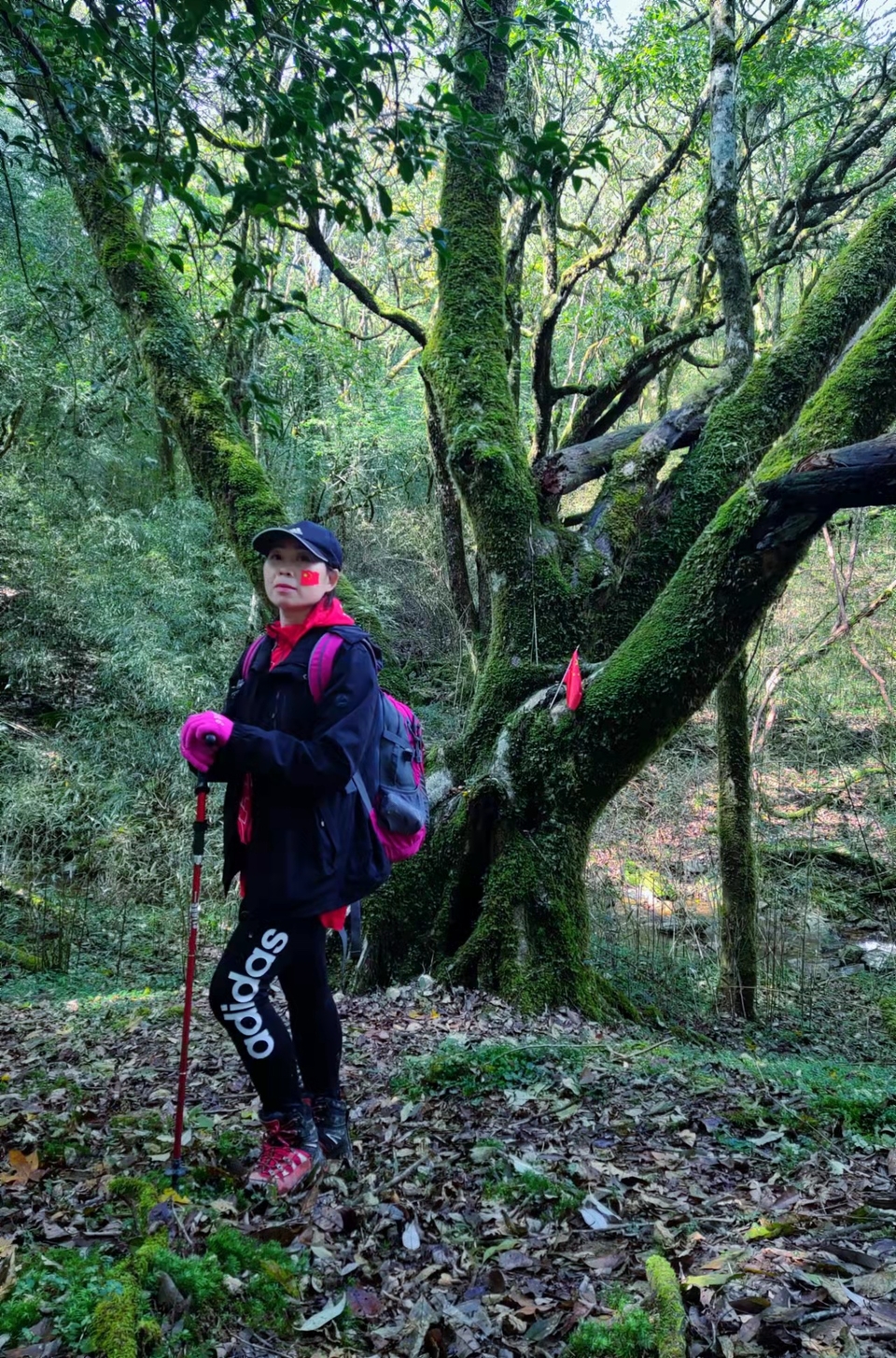 w26uQBf11gLCREqMOxB8keX2srvWSyvuqji8wgqFdS4gdUUIoln7wX6HbboNy8KY