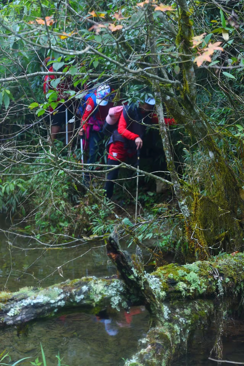 q8AnXDrkEyDS71r6Y_2E9z2ZrLKiJoxUACNaSoFJ1eRusXExlownKWpO8KbslKo9