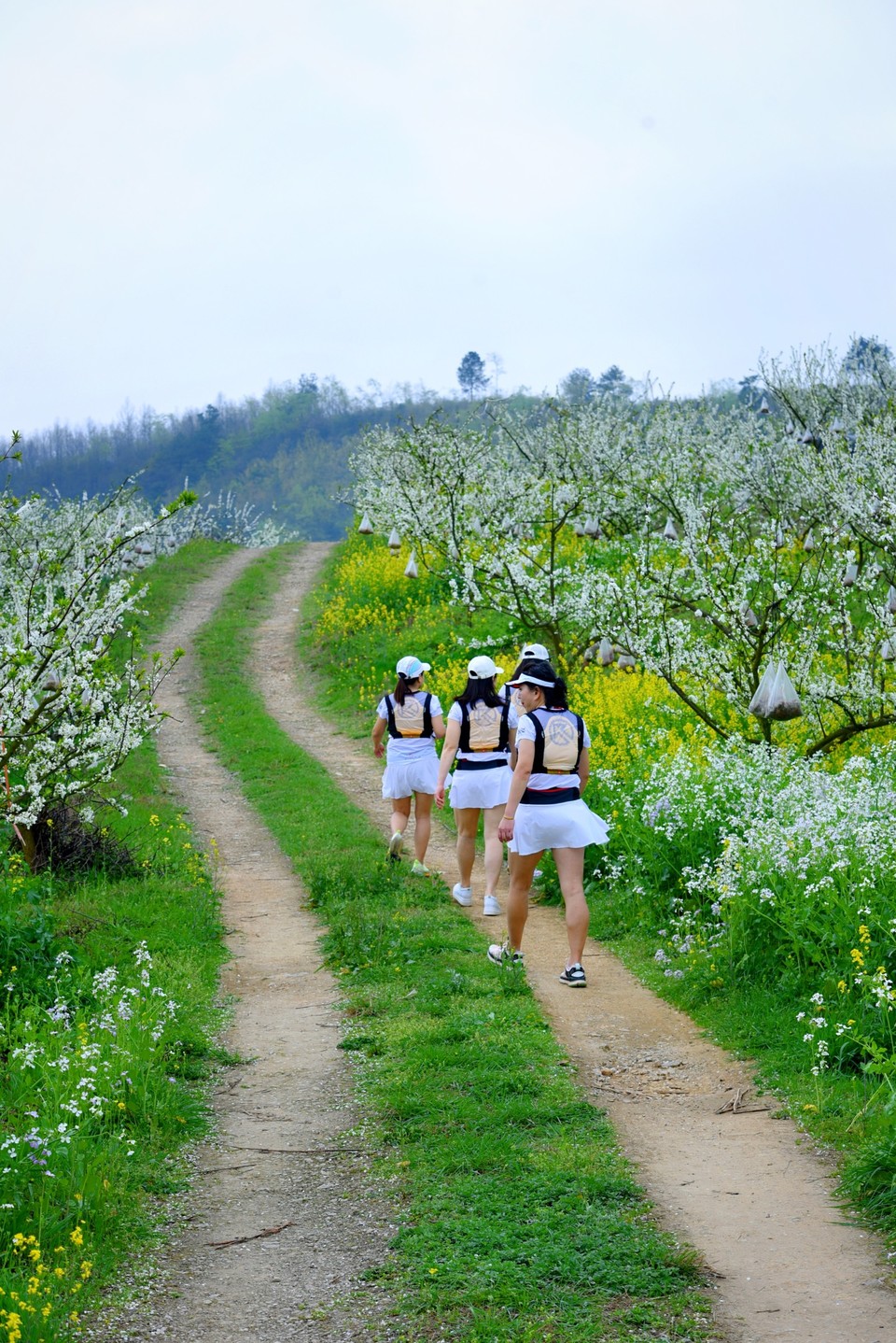 5blAXUaD9ucufs2Q4jm8KXiasDD3bGVOpDsy4Y6VQVcMr83c0UnjeqTM66ZdyYJO