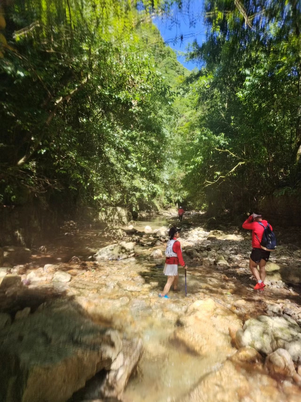 bTK_b4gbcQ0i43wgcj6sqowNe4cH3WTELERG-Ik1LEf9Pcm46ad-umkQwVP3dlzG