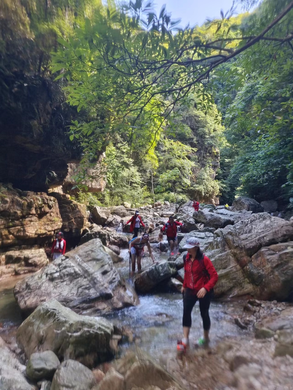 bTK_b4gbcQ0i43wgcj6sqg_kPOQjjPzPNL4SwSbCqsY61PNf7pYwmI9ZwX1o7Muh