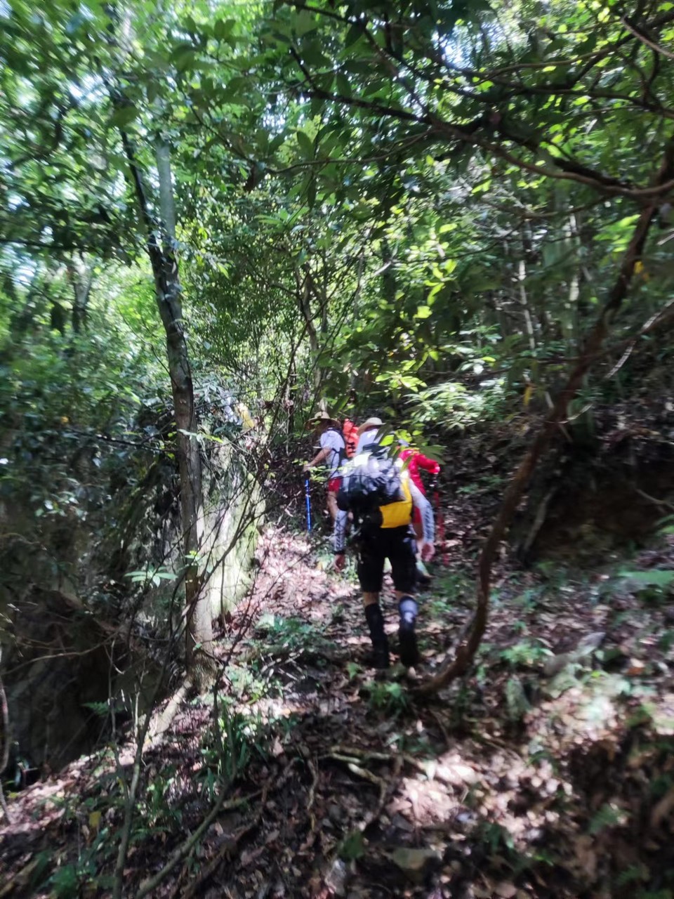 8DQaPPP1oshQj8y2pDlujH2pbB7pmdc0m63tjwcOFVI49K7zpbj7fxsPVoXsuoRj