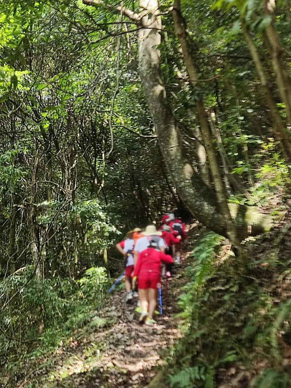 8DQaPPP1oshQj8y2pDlujOzn9GNMK9RqBJoJPZEhyOWWUjJqbDMswYnfvmfg29Al