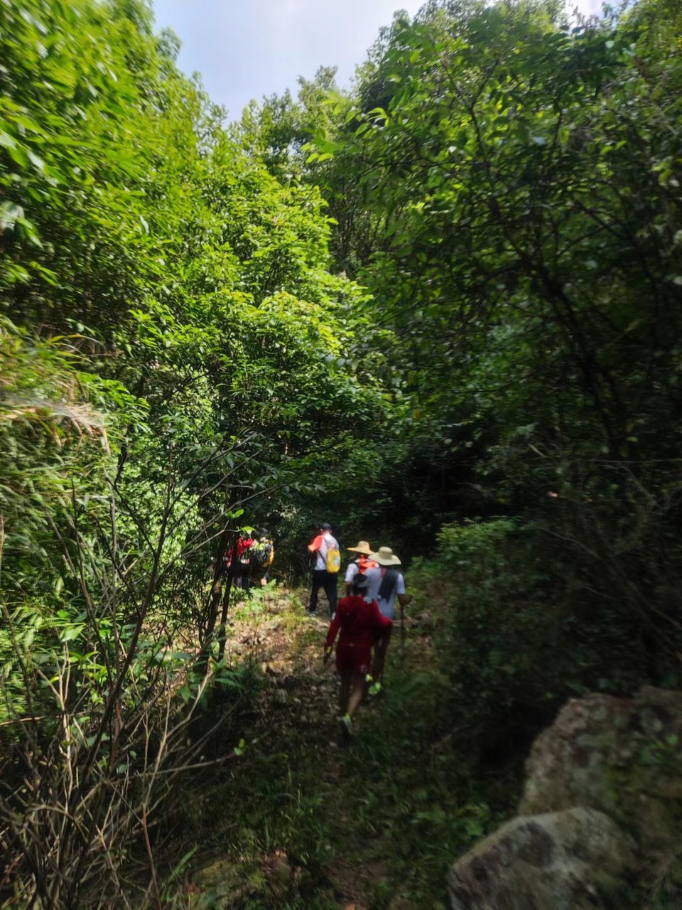 8DQaPPP1oshQj8y2pDlujIcMhhPkVU_0OUjRTF_xxKTnEVrwPlGeBVvhyWuB-0Ee