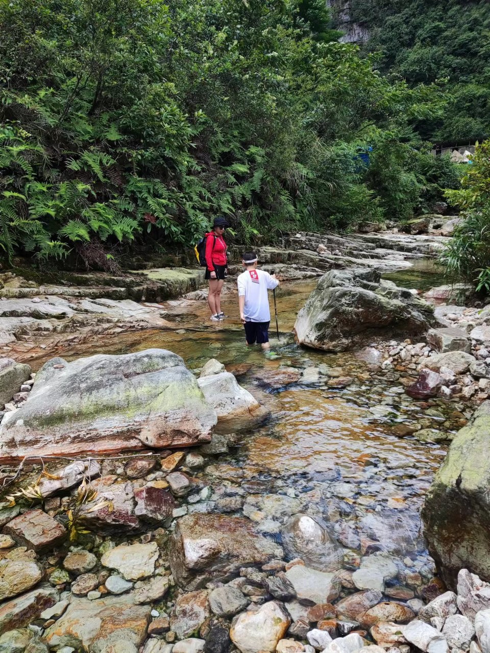 ZZL75LFcT8ZwJoNKgb-CVdPqrj0b5J1rdAthcMjb-sWOKsmjvElWZKXLpWCXrSms