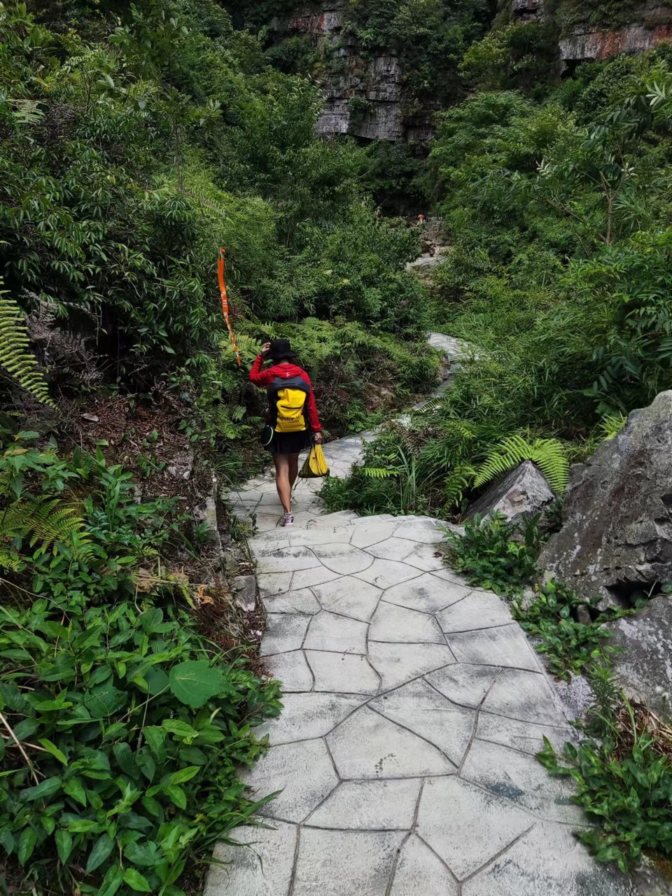 ZZL75LFcT8ZwJoNKgb-CVVomYmQs__q26m6sgsO-wi5Ic2XFAaVwMiLiT-4GeIHz