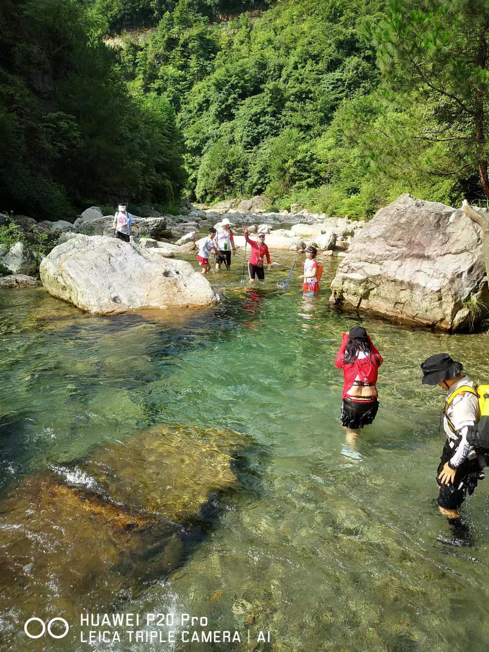 ZZL75LFcT8ZwJoNKgb-CVdjT0srUvsWOTMOQyzO9M977hsIjMg80EkaT4dTZOUlX