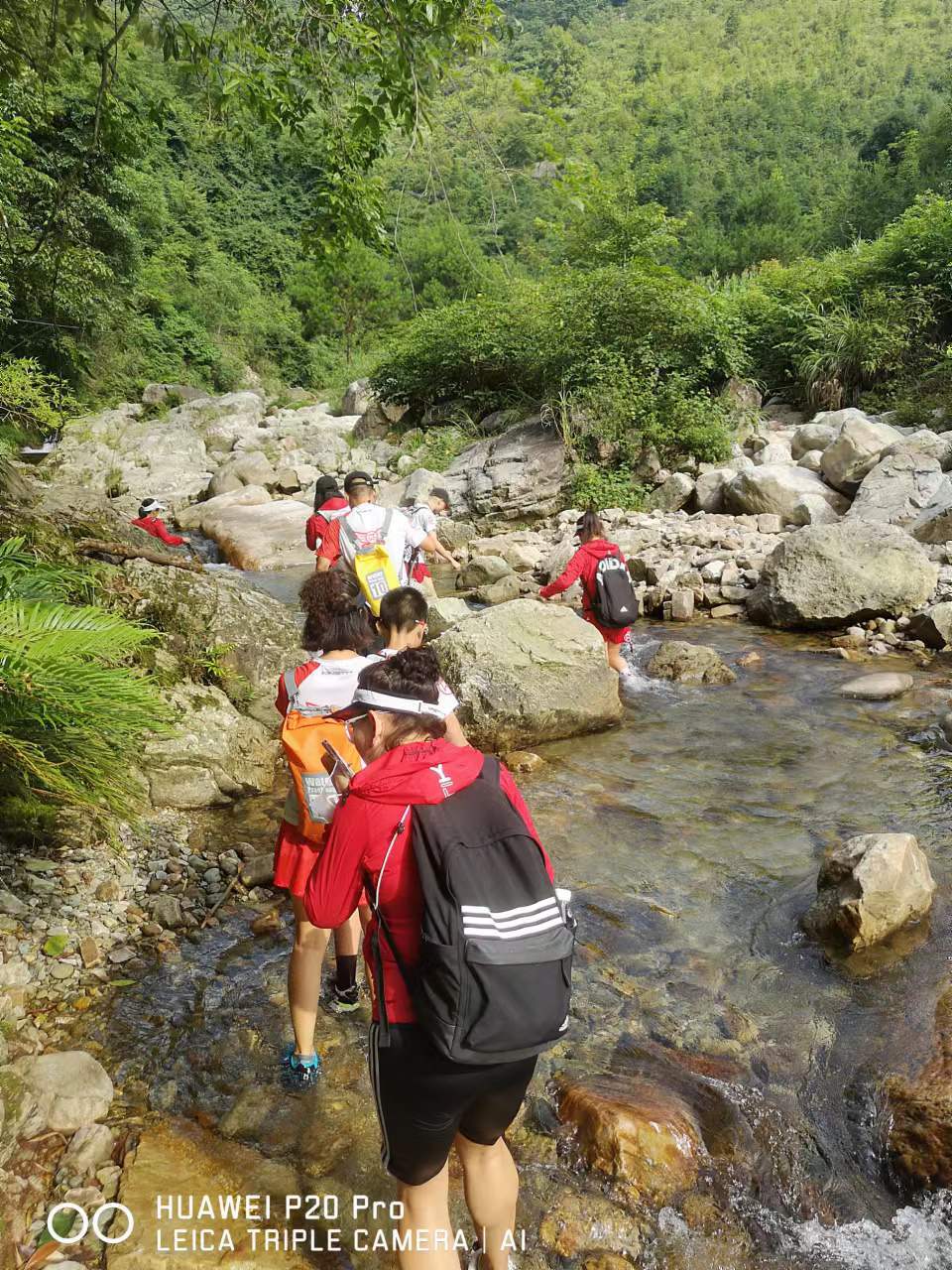 ZZL75LFcT8ZwJoNKgb-CVdnN-tdUCPI6heMk0yoZNd8ItqYo5sz0k7rHuzmVPD_M