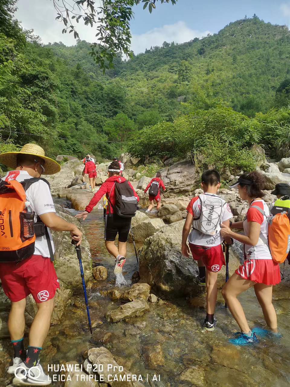 ZZL75LFcT8ZwJoNKgb-CVcF7r_IMQf87wf7XOCttf8MYnldB3s57vfLA8ov0AHUt