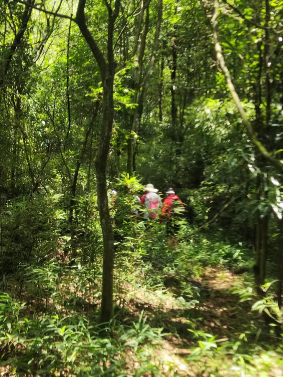 ZZL75LFcT8ZwJoNKgb-CVcHNhXY1DK0KyTHpfhjrn69xPoHoRnw0kjFC0Yzvl1fg