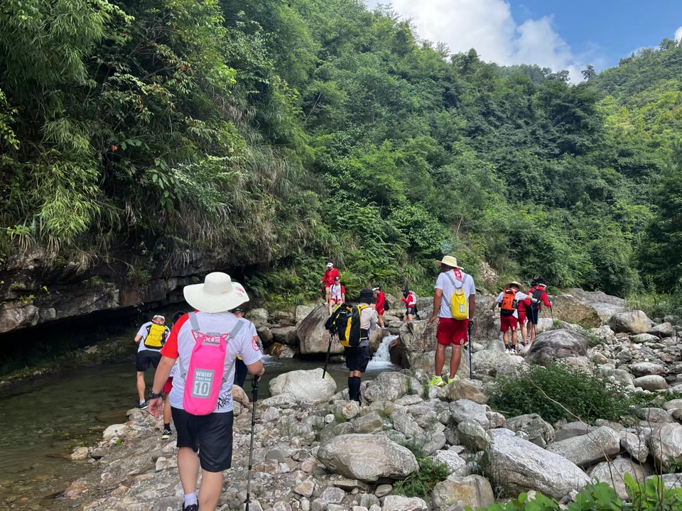 ZZL75LFcT8ZwJoNKgb-CVRYsWMjDJXHVwnYTg5OXgSTtKyG-7FtoUyMPzDlPw7XW