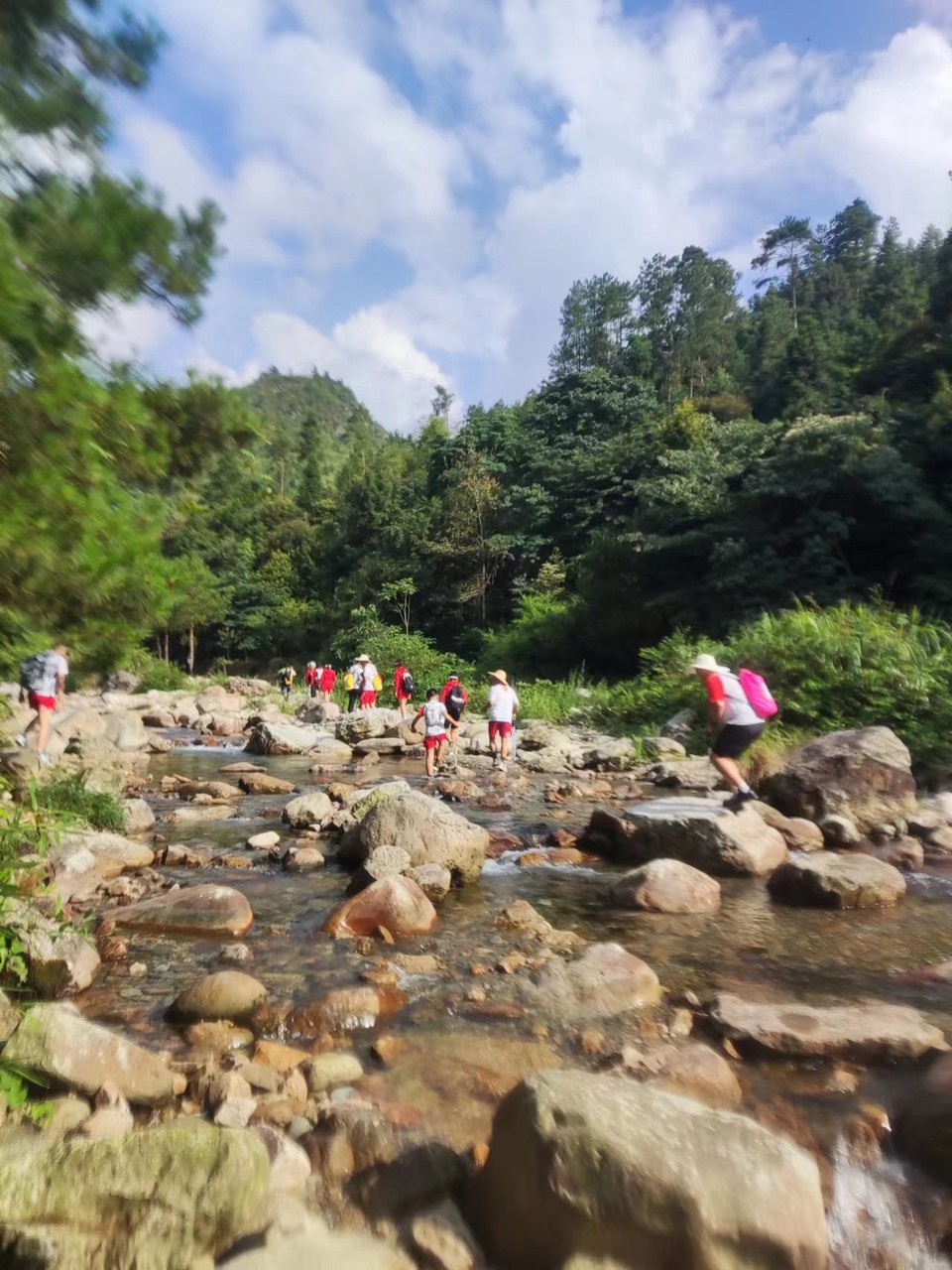 ZZL75LFcT8ZwJoNKgb-CVQLQNUBvVj6hKZyxFRWQQziQuKhTX14PdMkjIpiURNoW