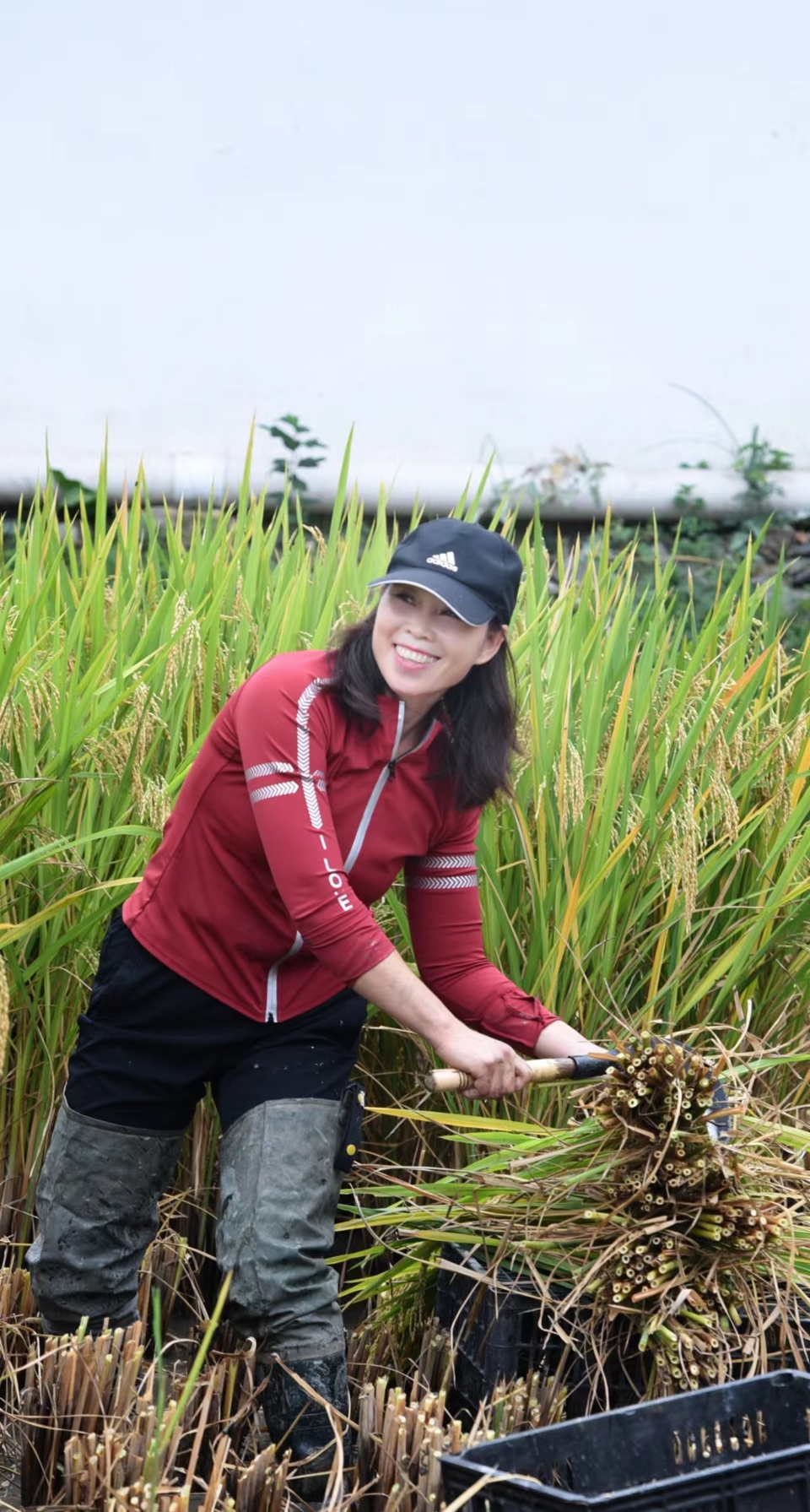 FUEtAFCbQRimwSMLLXBzwZ0DsWVwRHco5pNtg2qD0lvf6l7xtTnskiJeFCFBRfCi