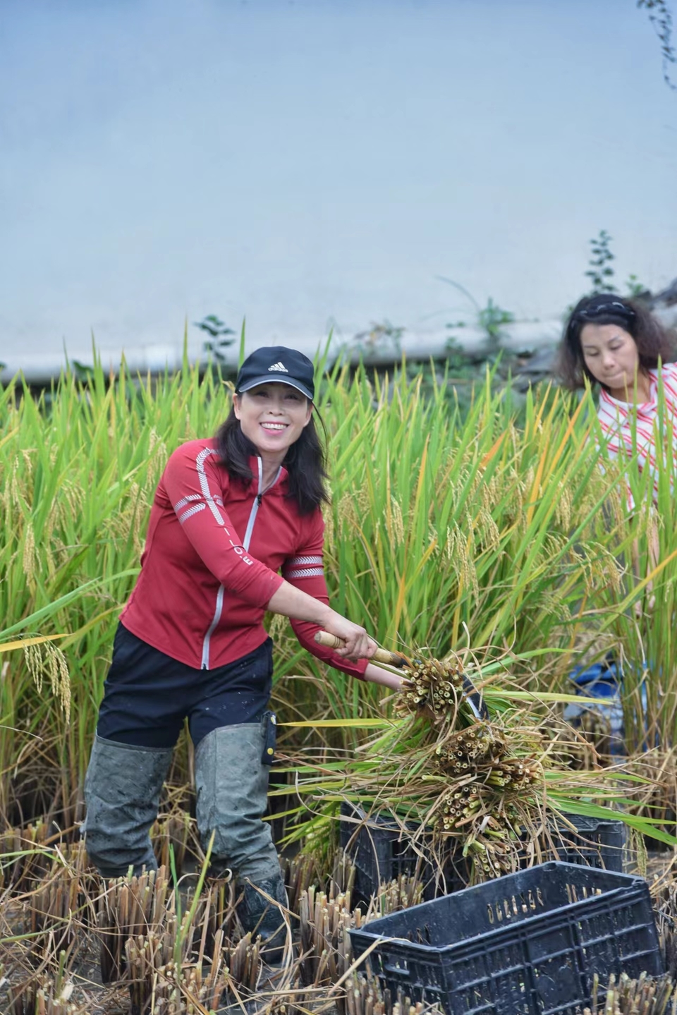 FUEtAFCbQRimwSMLLXBzwZ8S4kbG_1_6g7GIyyYyi-9OWWNfLJMT6-YrCCbUn5CV