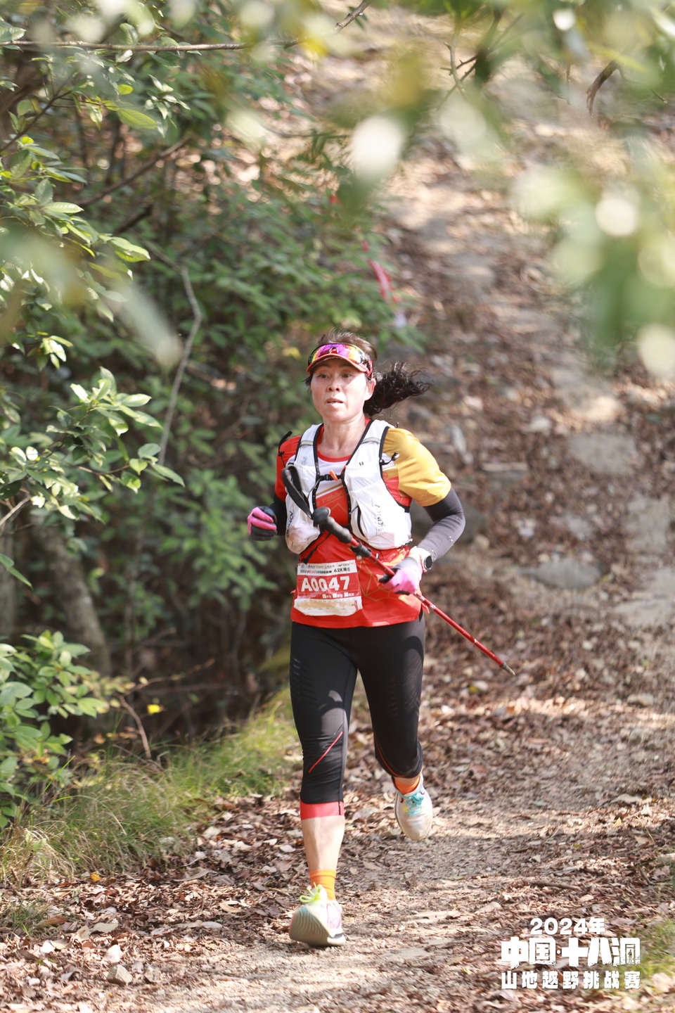 ZxBZQi_qQAFT9gCM1n_t_xT_RIPULkmGV3wn2a40cg7ex9WeFxZMXJcFSMuWD_FF