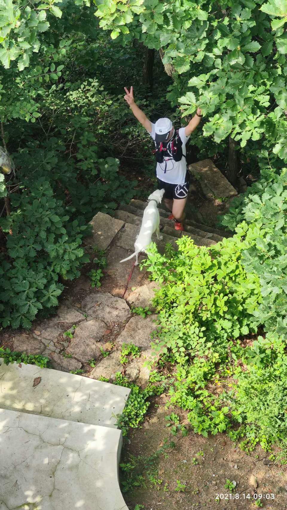 LVr3nOCvPNAKOm2IKmk66ZasPuWpeKsvCoVFHlU0J03tFlMMRqS59AJB-uWLeZD6