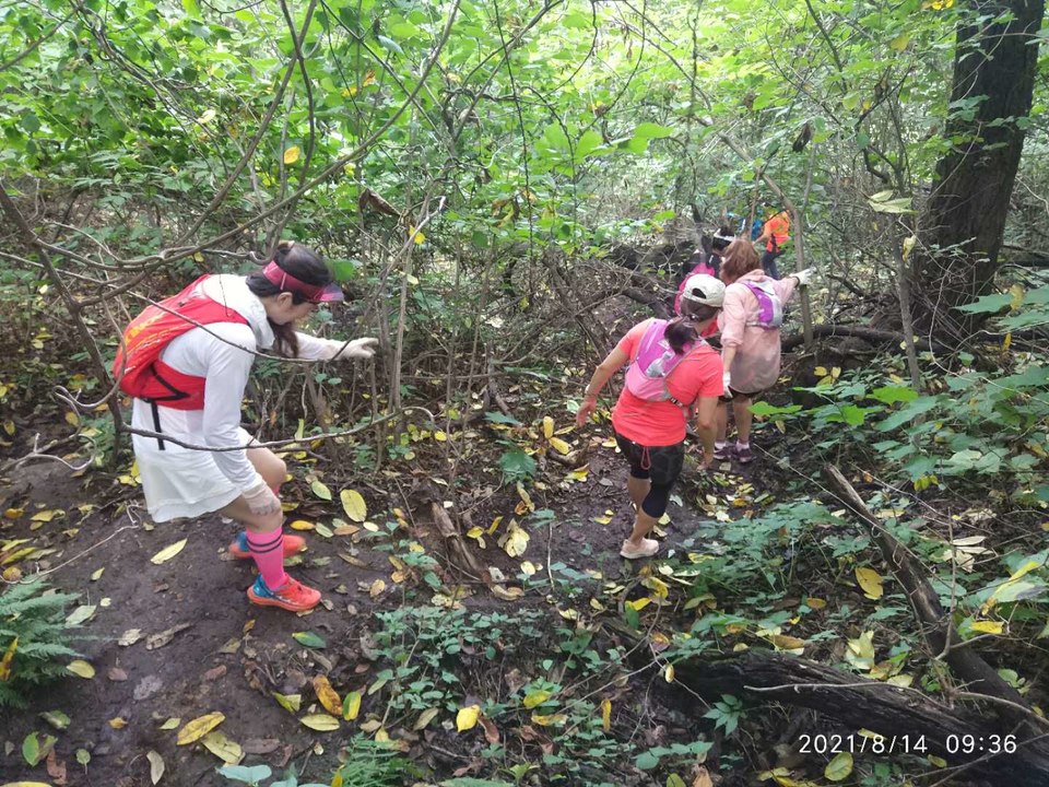 LVr3nOCvPNAKOm2IKmk66WA35h1Qims6PReW3o9MlYxaNiej5E_NZOraSR0kN8--