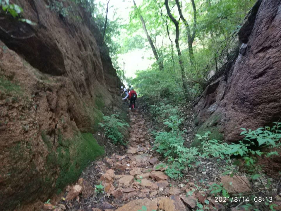 LVr3nOCvPNAKOm2IKmk66WUqK0VAbe9WsjKg6UOufr8UyIzq7NhU4mJBwBwpLcBN