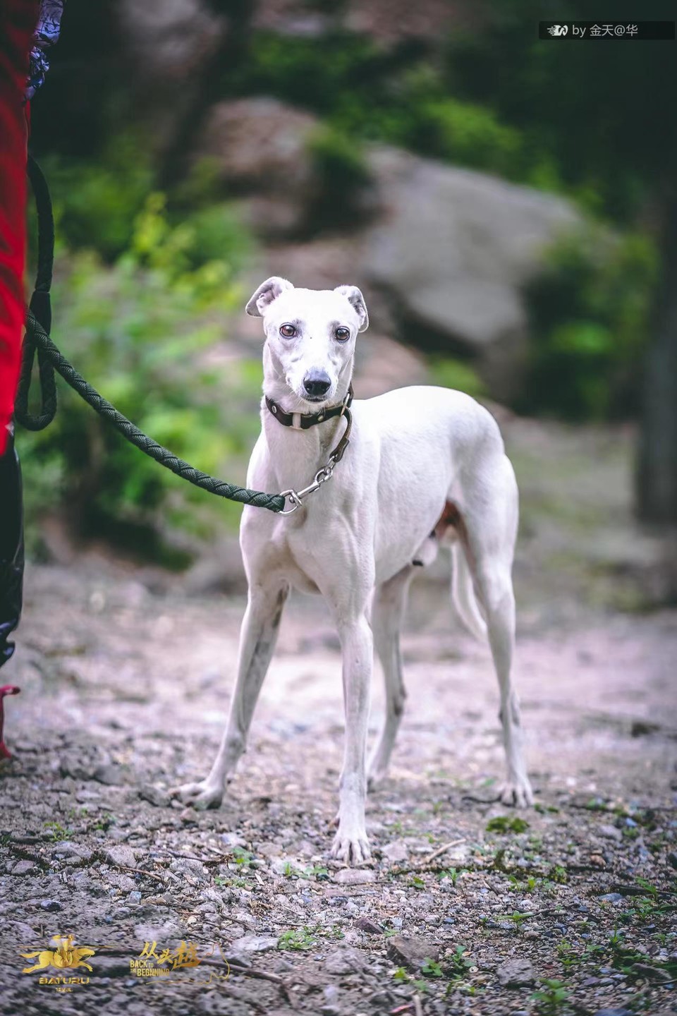 AfBjzf9Bkm4TBu_gryRI0efrsnXfMK_dnZEdbp8ROHNXivv18M8hFyeDDTe-T86A