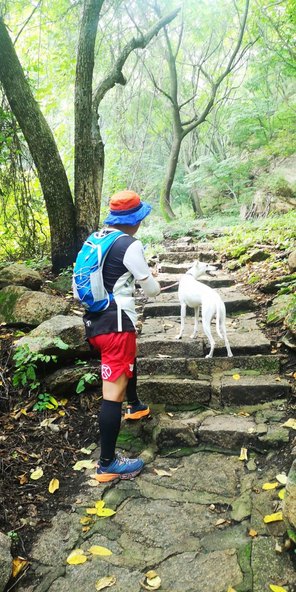 CRNJ9k-HhUueLaklDoqtMJxMgil-ObZ9804apV0xkr6wJ_pU-shgR1fB8aQDunGG