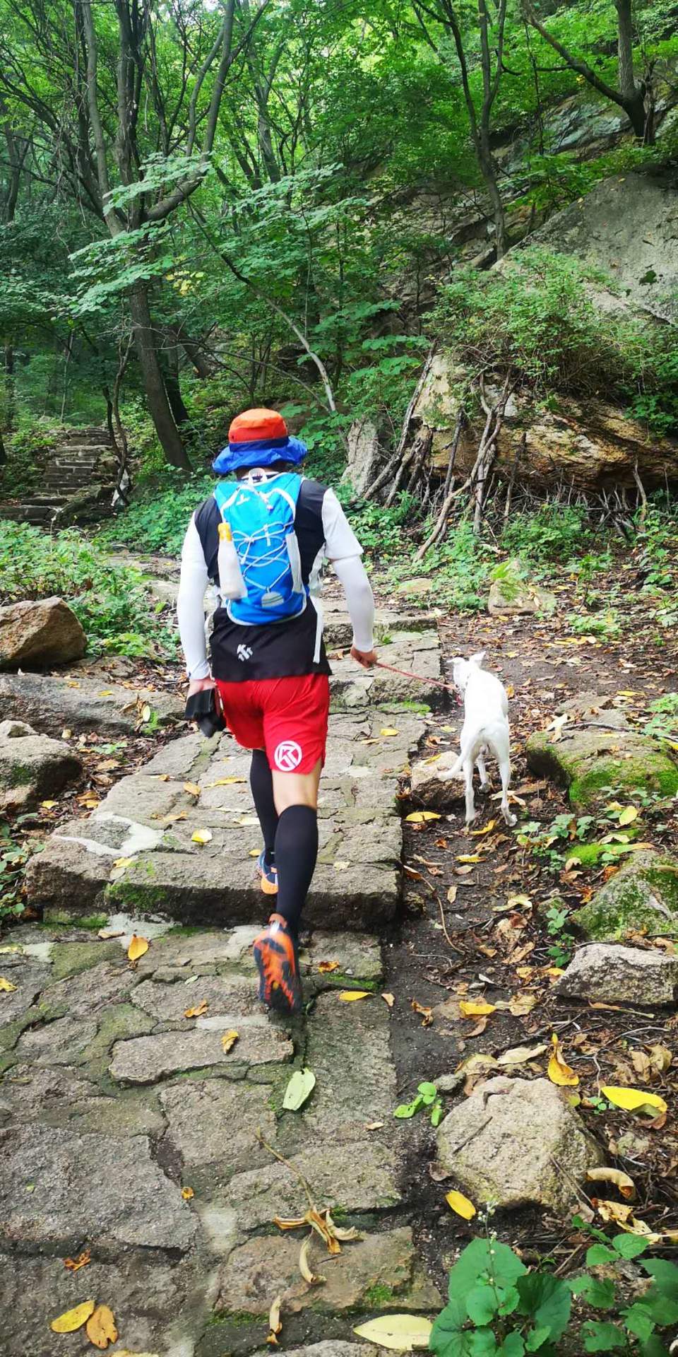 CRNJ9k-HhUueLaklDoqtMKiMTR1wUY6JFv9B59Ts77ILLLDCD8lwxovbm6PBDe9i